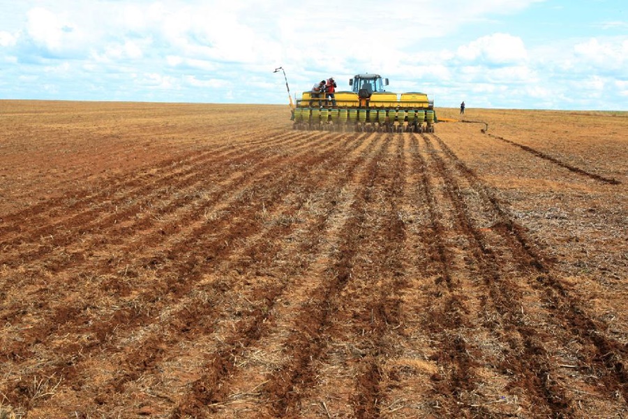 Imagem: Semeadura de soja Plantio de soja em Mato Grosso deve iniciar em 16 de setembro