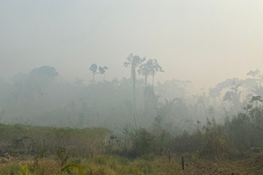 Imagem: fogo diaD Gaeco Ambiental e Estado fazem operação após denúncia de "Dia do Fogo"