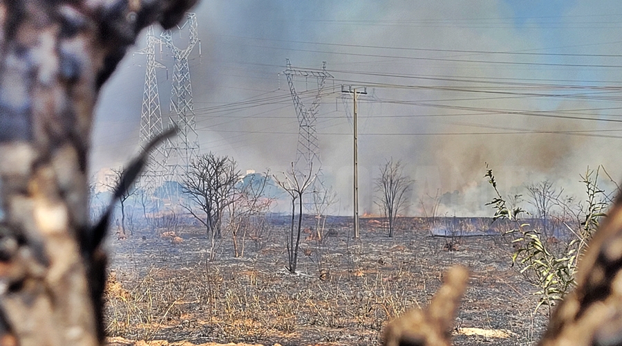 Imagem: incendio granville Fogo em vegetação seca se alastra e atinge área com torres de alta tensão