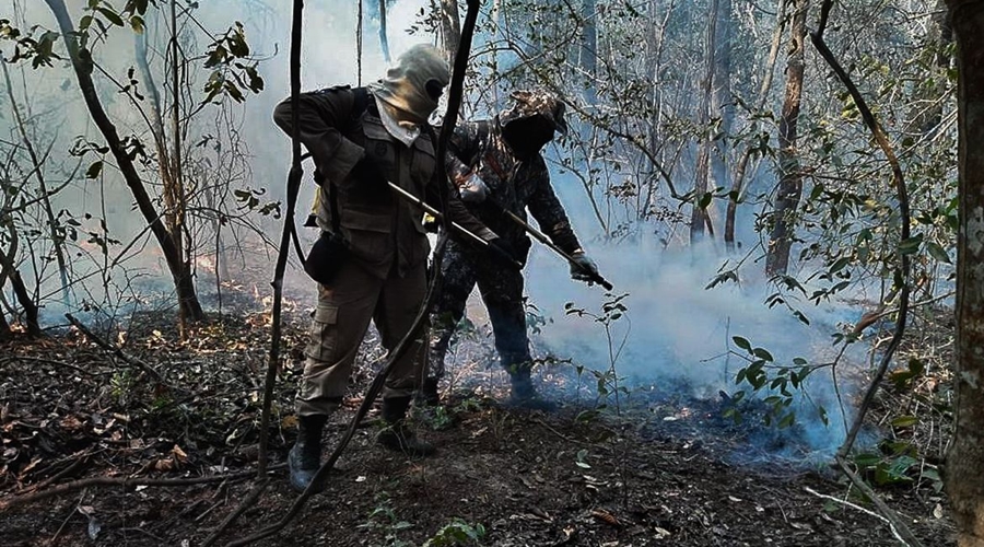Imagem: incendio pantanal Estudo mostra que incêndios queimaram 30% de área do Pantanal em 2020